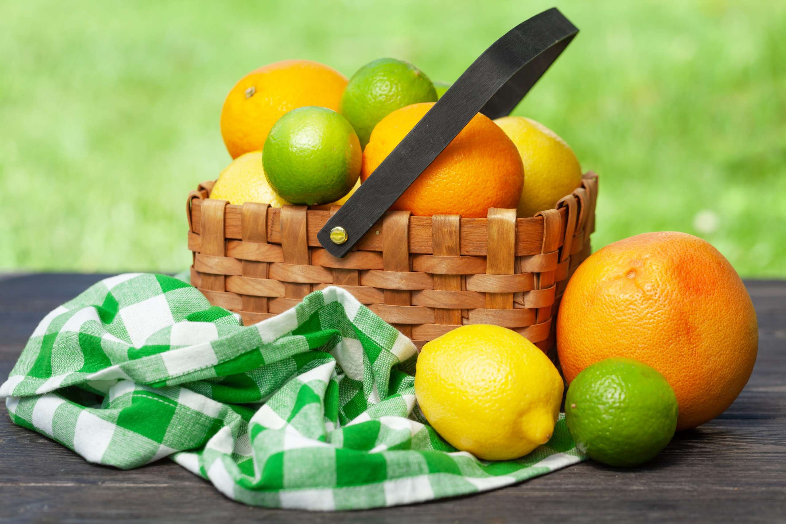 Best Fruits for Small Garden