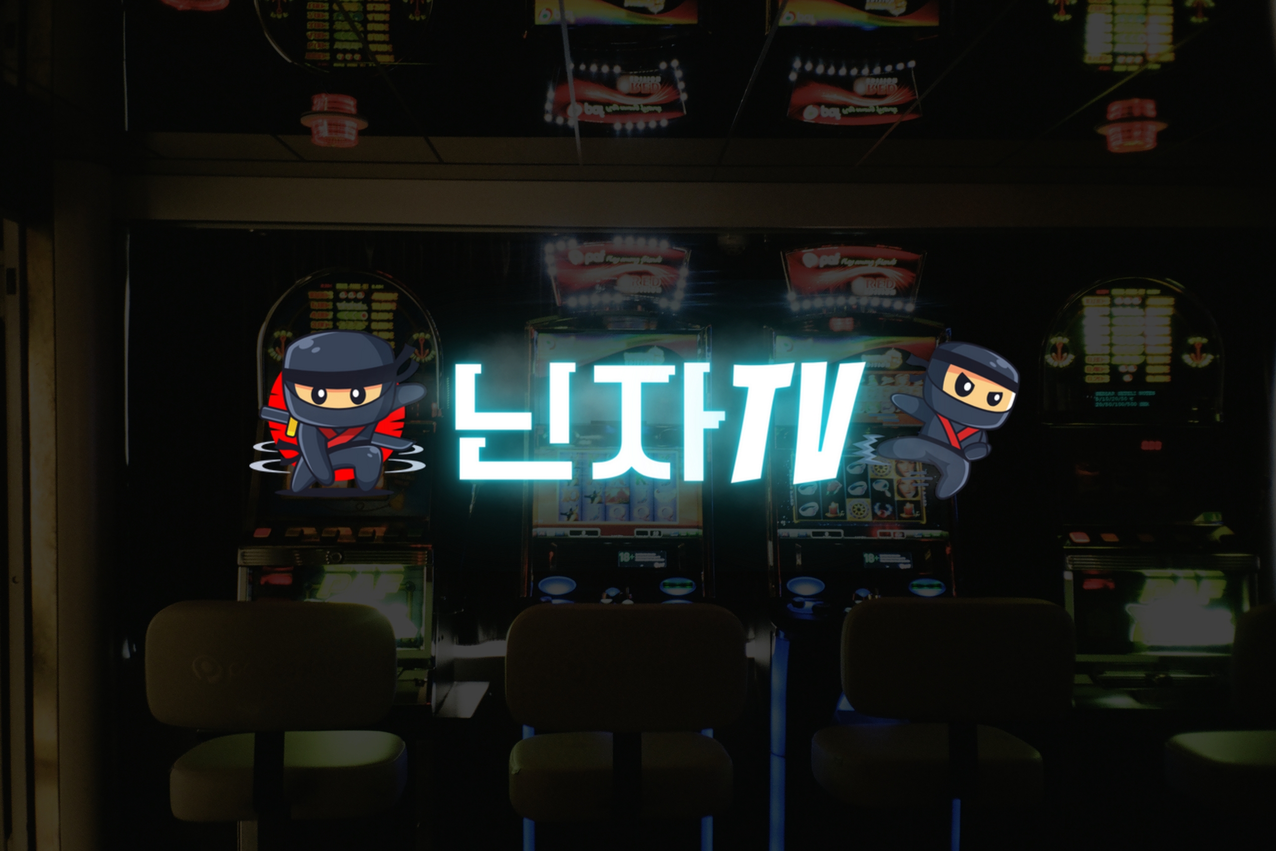 닌자티비 접속방법과 빠른 이용 꿀팁 공개